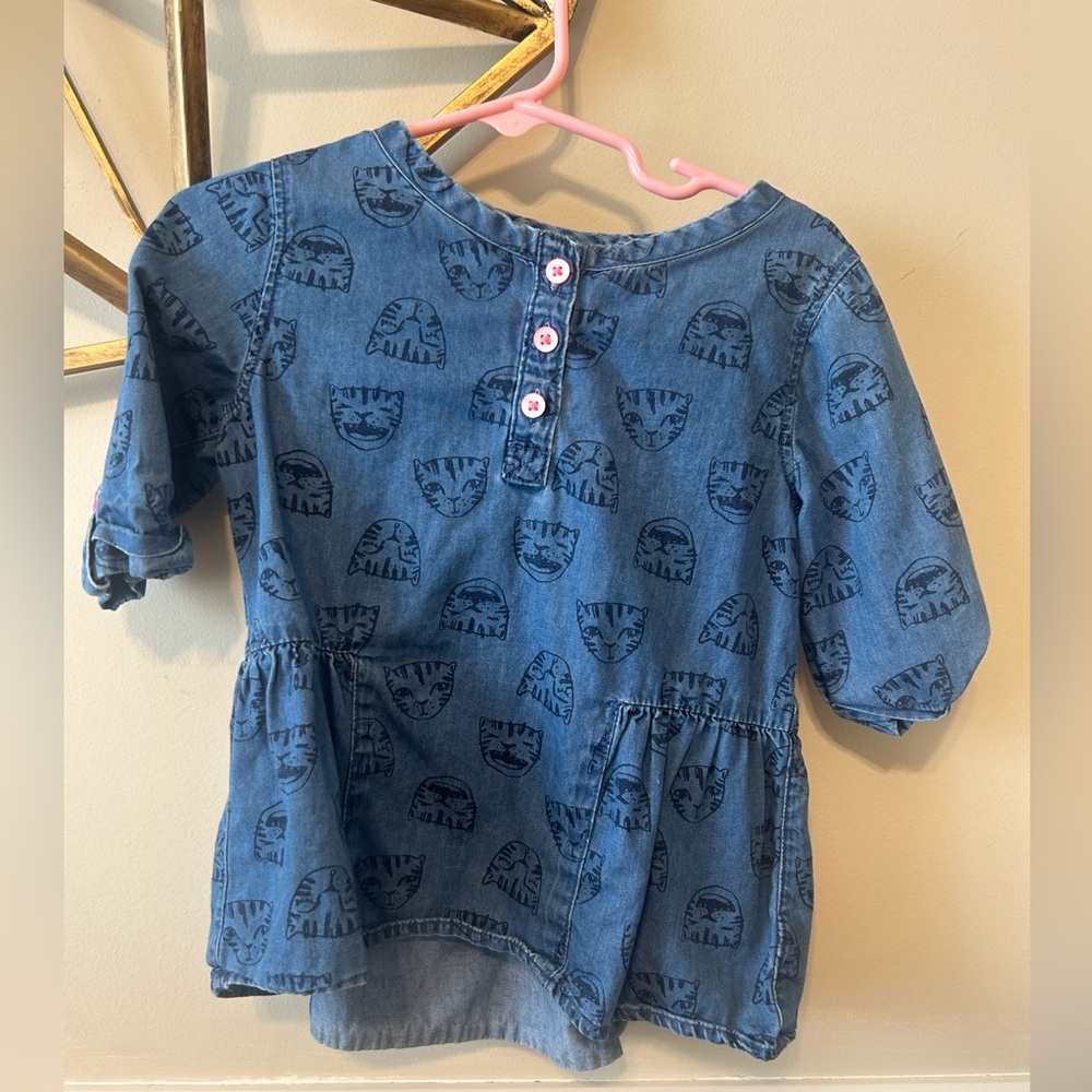Cat Chambray